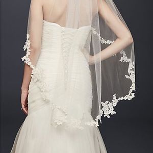 NWT Bridal Veil, Fingertip, Ivory, from Davids Bridal